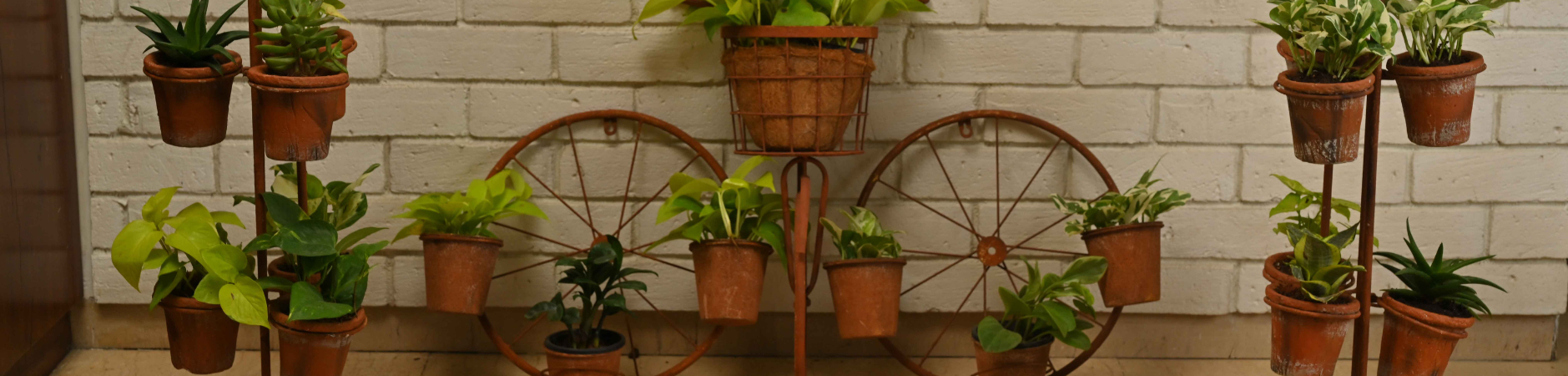 Decorative Planters