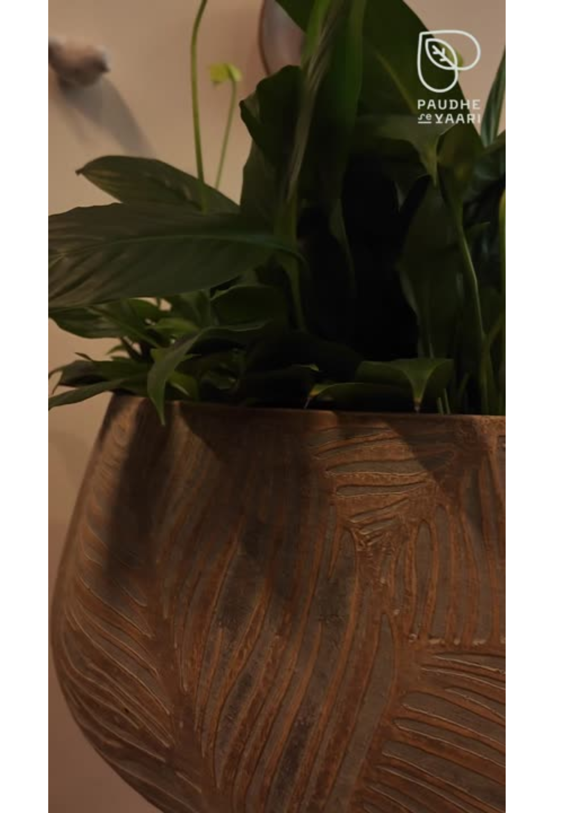 Maple Lowline Timeless Leaf Planter