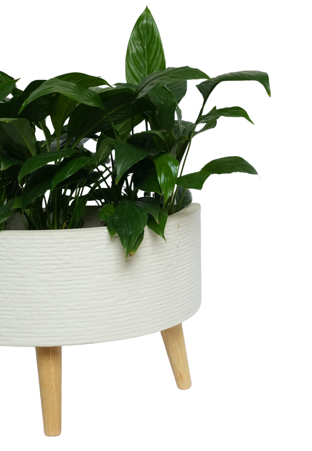 Semicircular White Pot