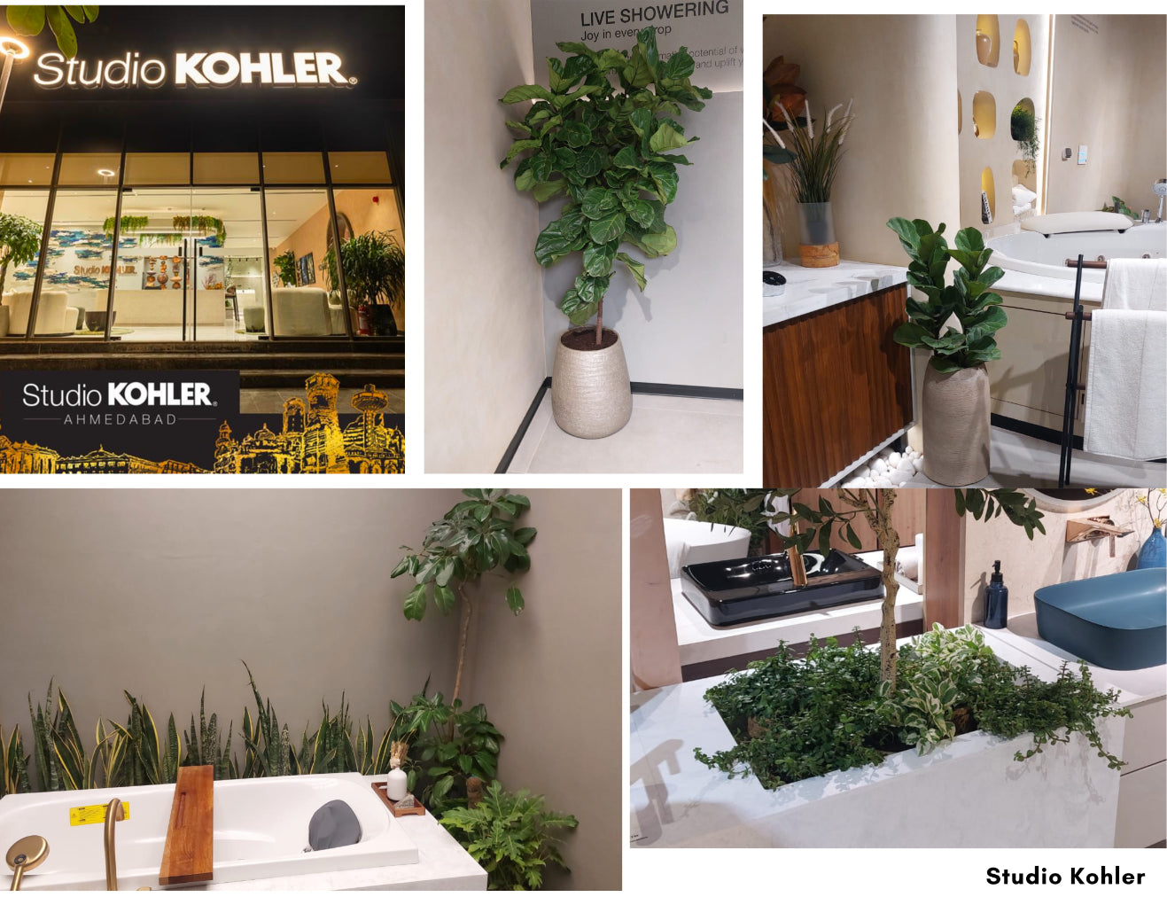 Studio Kohler – Where Design Meets Green Elegance