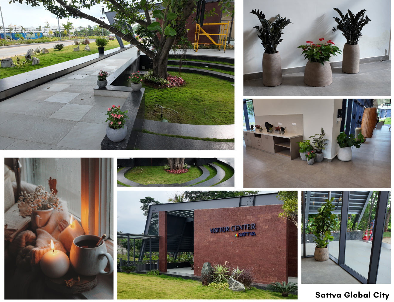 Sattva Global City – Visitor Center Landscaping and Plant Styling