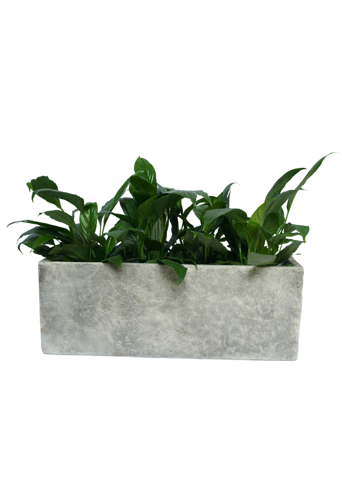 Grey Rectangular Slate Planter