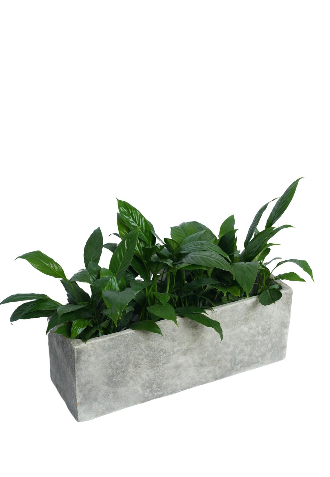 Grey Rectangular Slate Planter