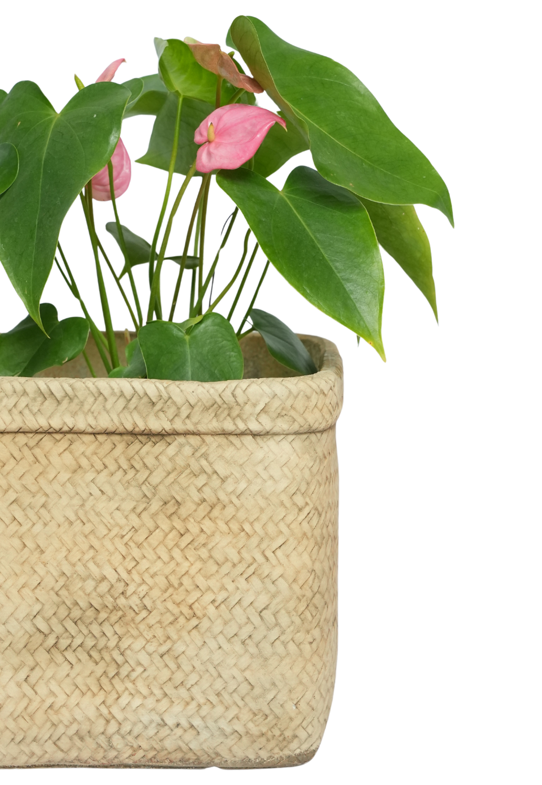 Rattan Square Planter