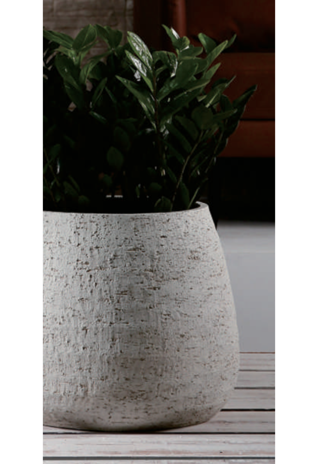 White Belly Daichi Planter