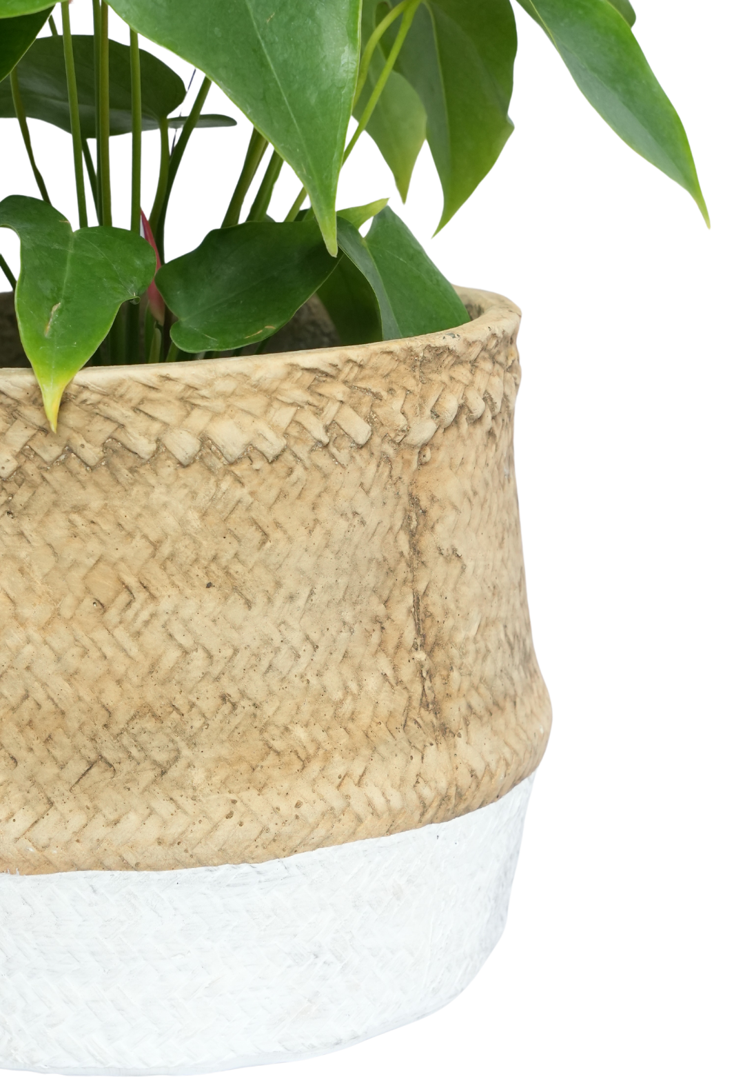 Basket Rattan Planter