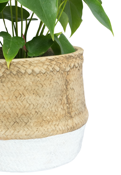 Basket Rattan Planter