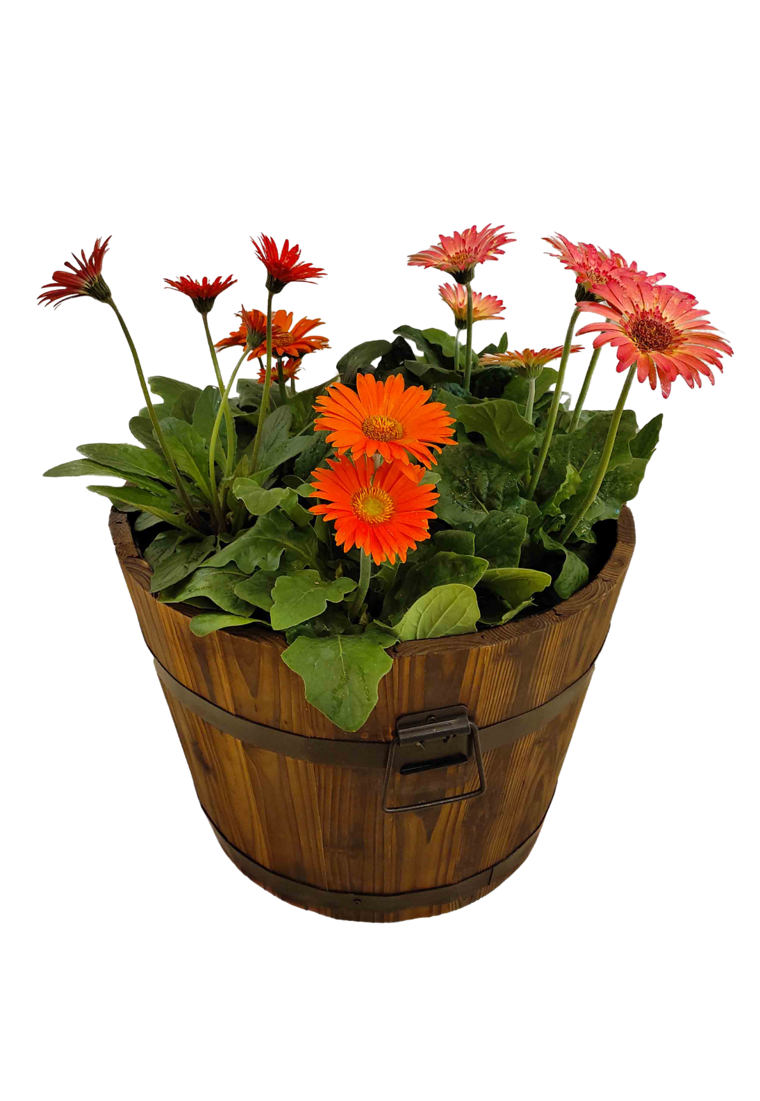 Wooden Barrel Planter