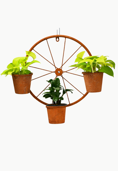 Rustic Cycle Rim Planter