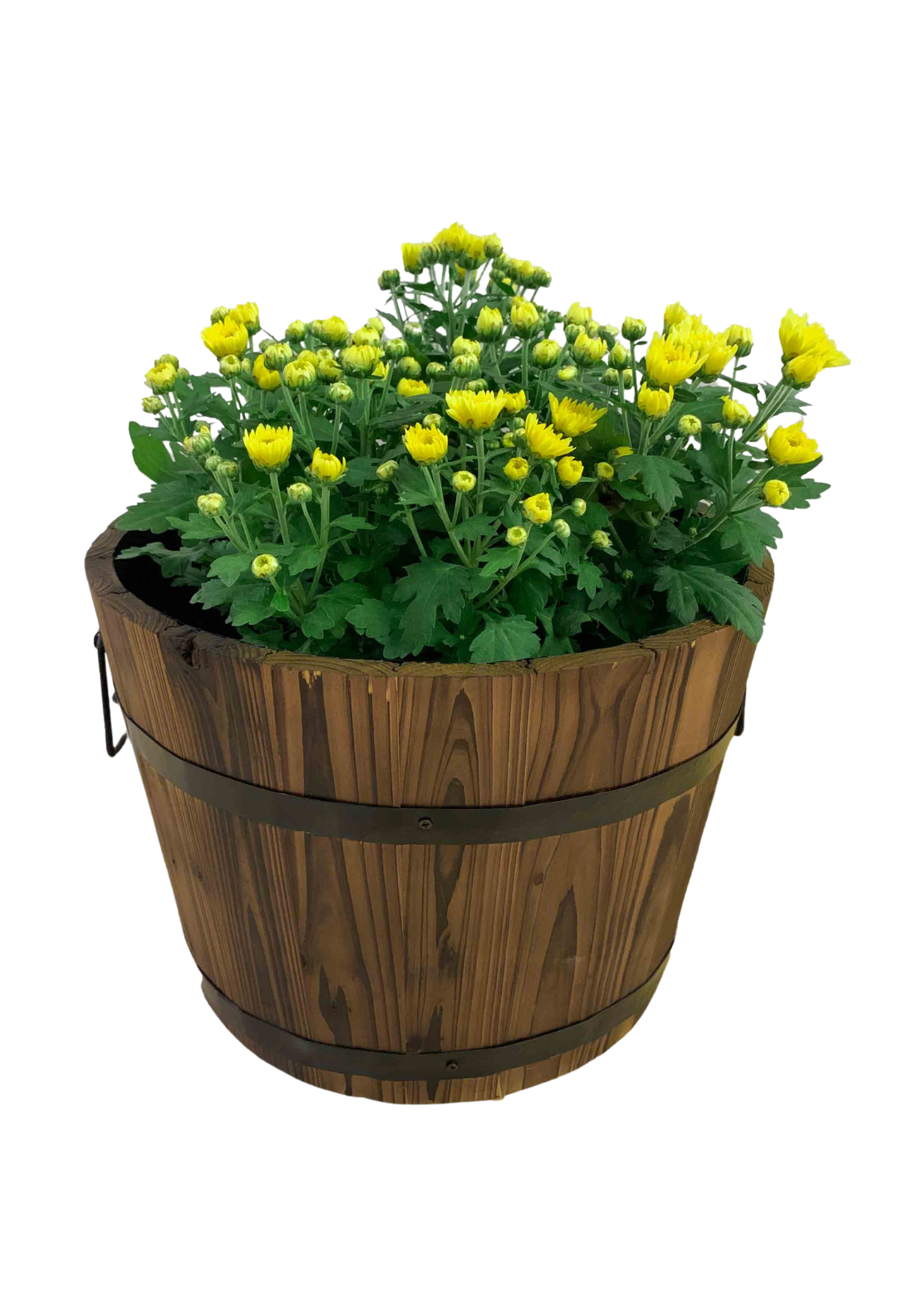 Wooden Barrel Planter