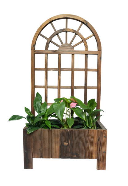 Arch Wooden Planter