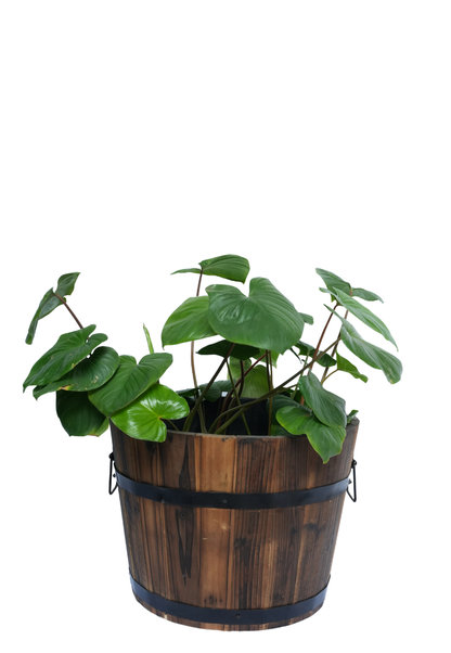 Wooden Barrel Planter