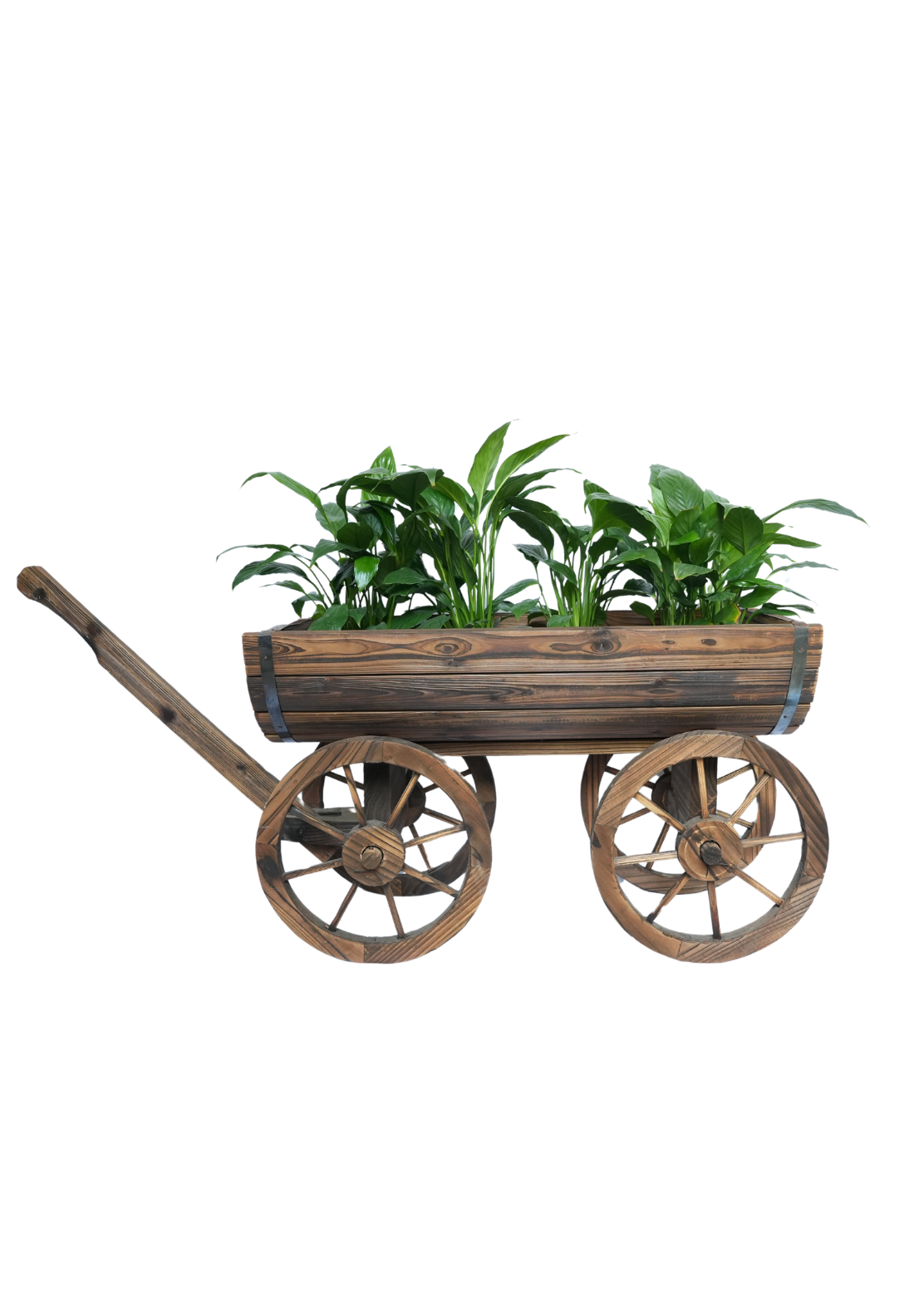 Wooden Half Barrel Trolley Planter