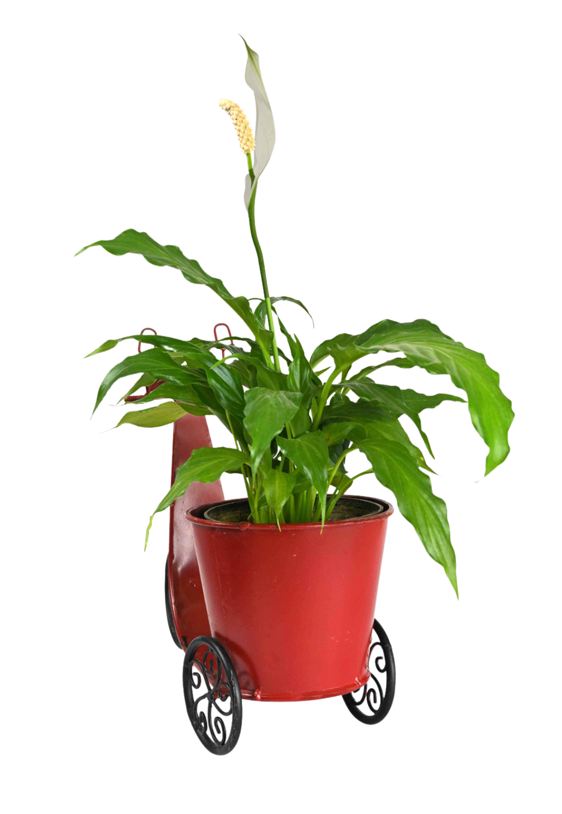 Red Scooter Planter