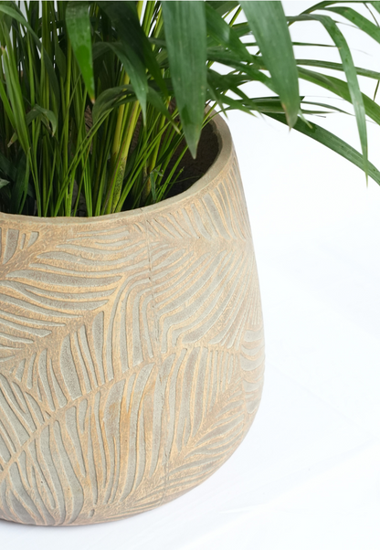 Maple Curve Timeless Leaf planter