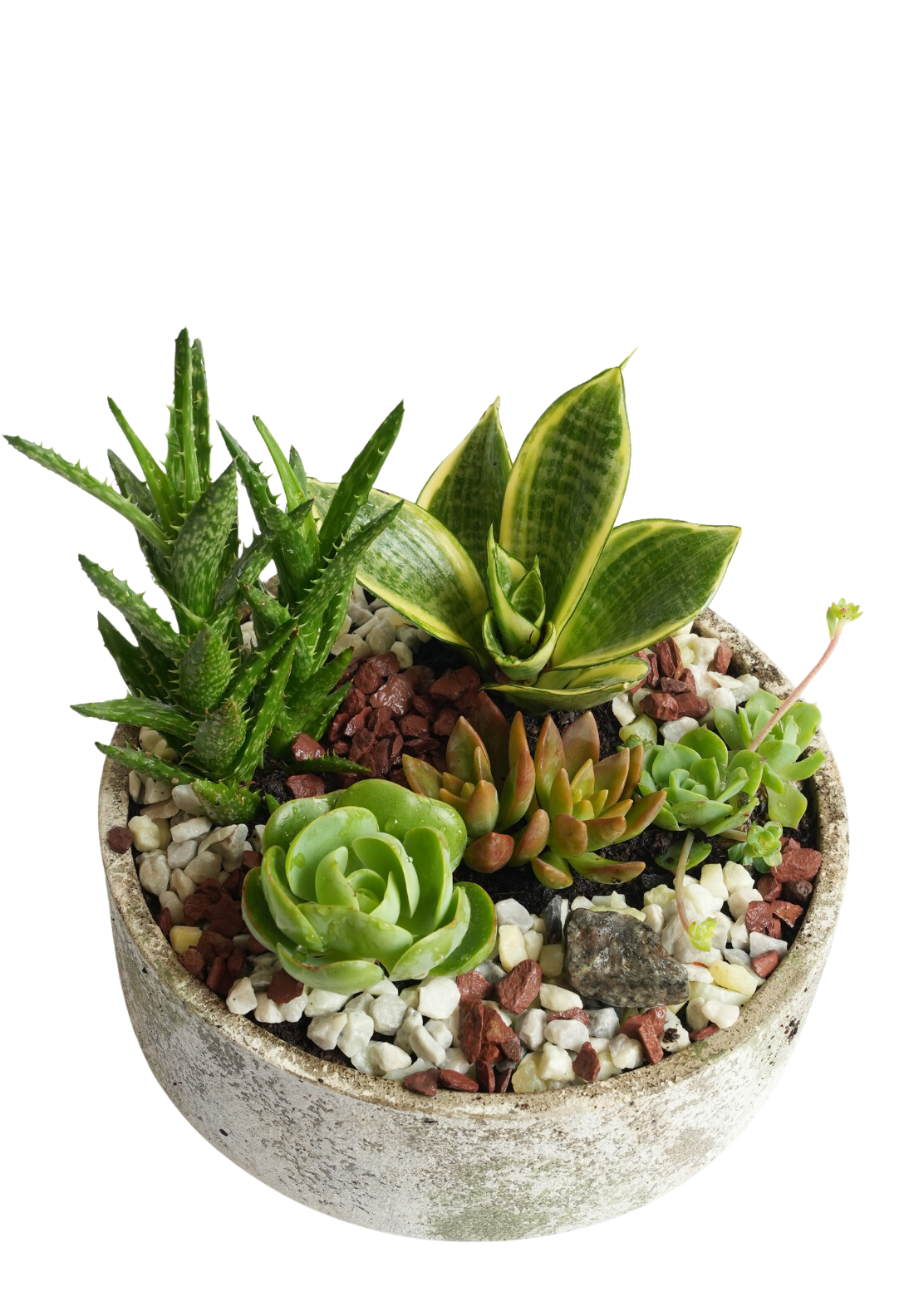 Circular Moss Green Planter