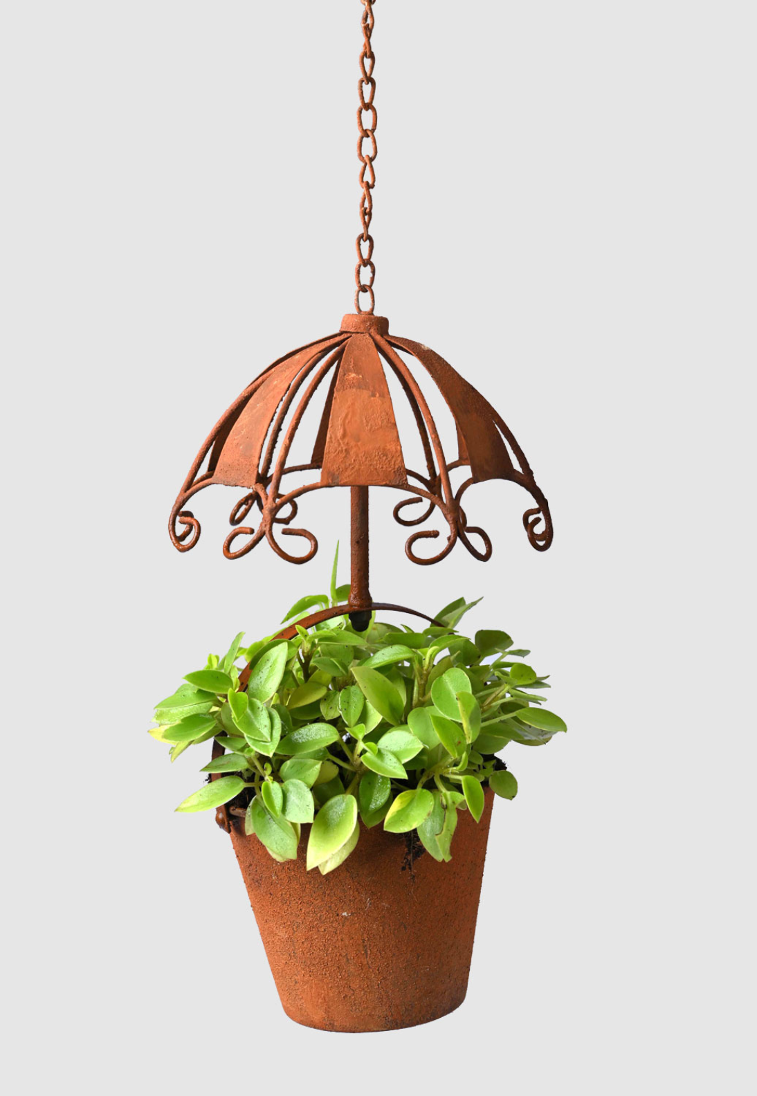 Rustic Umbrella Hanging Planter