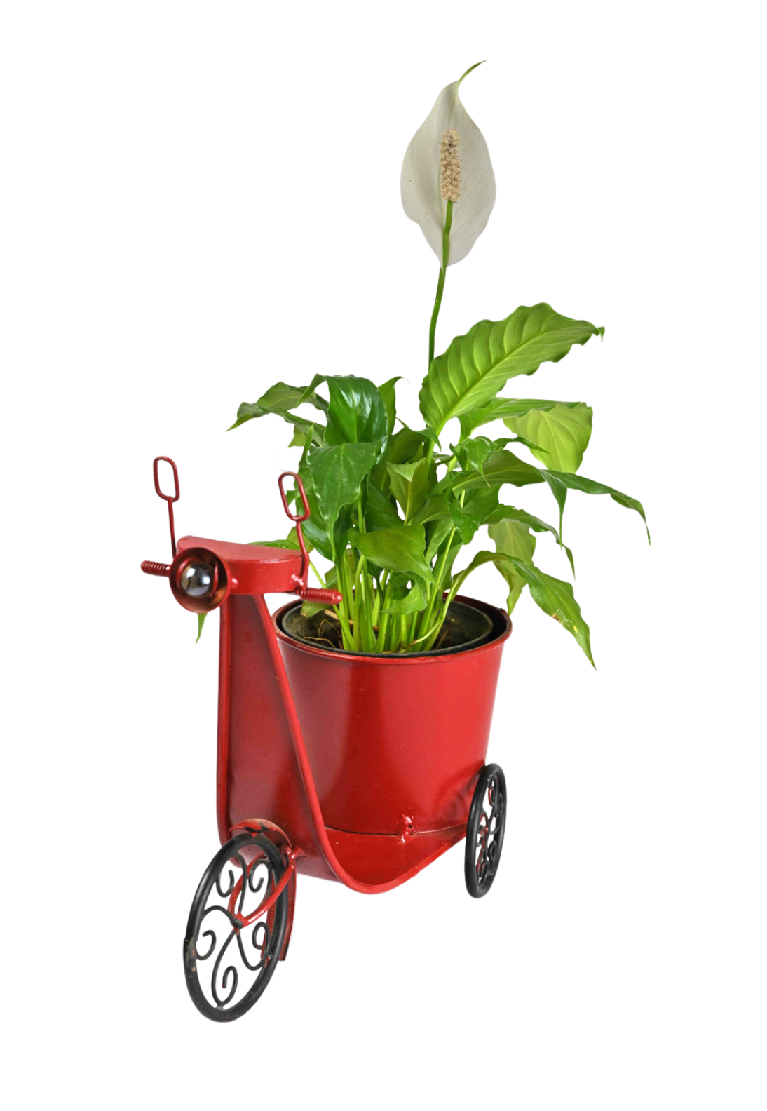 Red Scooter Planter