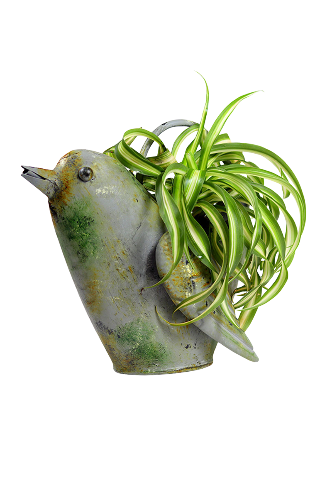 Metal Bird Planter