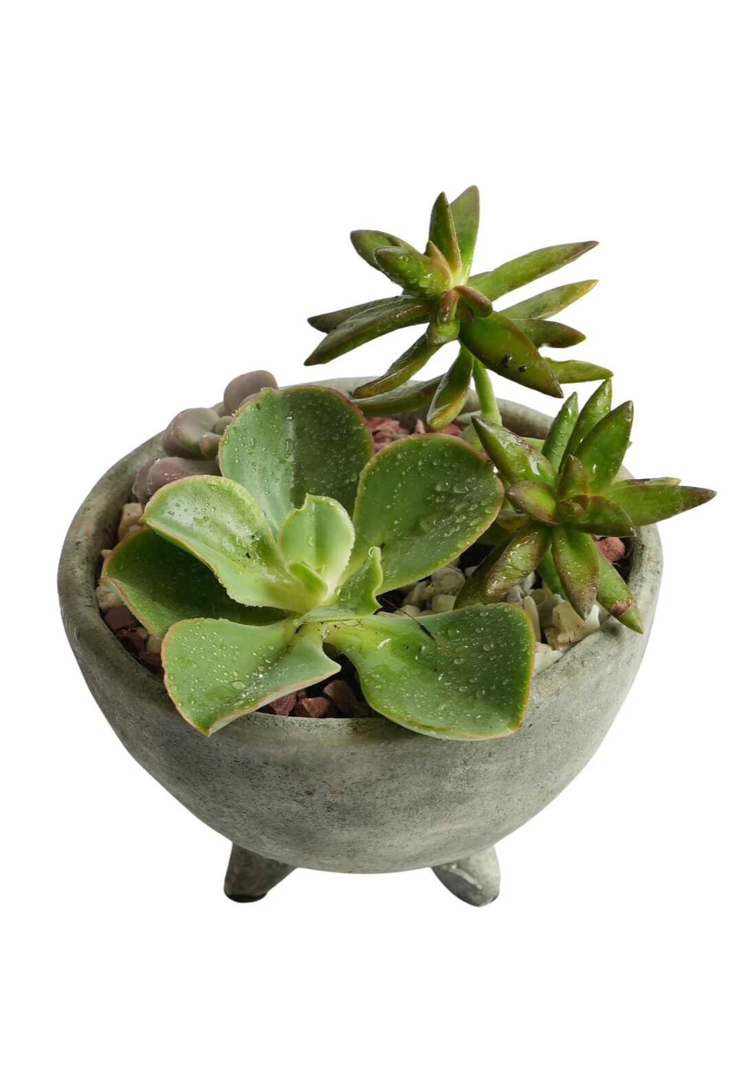 Round Feet Planter