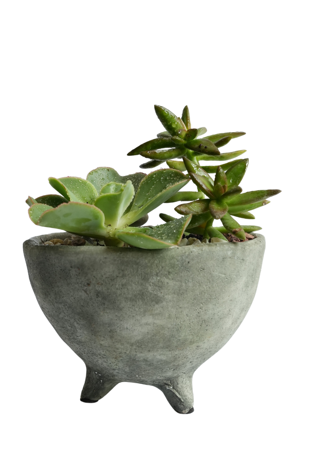 Round Feet Planter