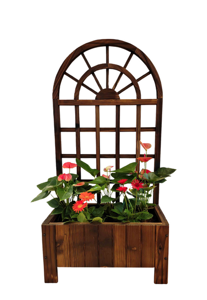 Arch Wooden Planter