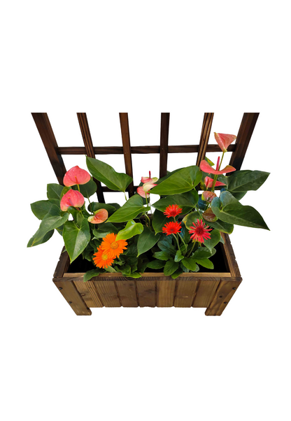 Arch Wooden Planter