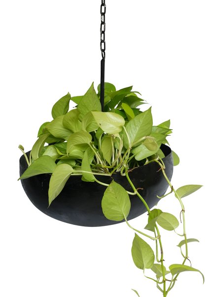 Black Circular Hanging Planter