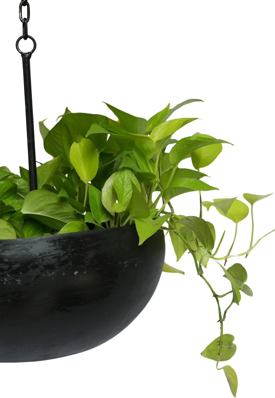 Black Circular Hanging Planter