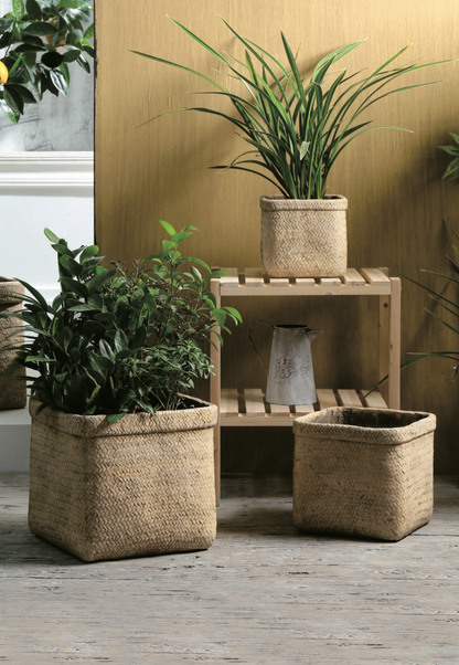 Rattan Square Planter