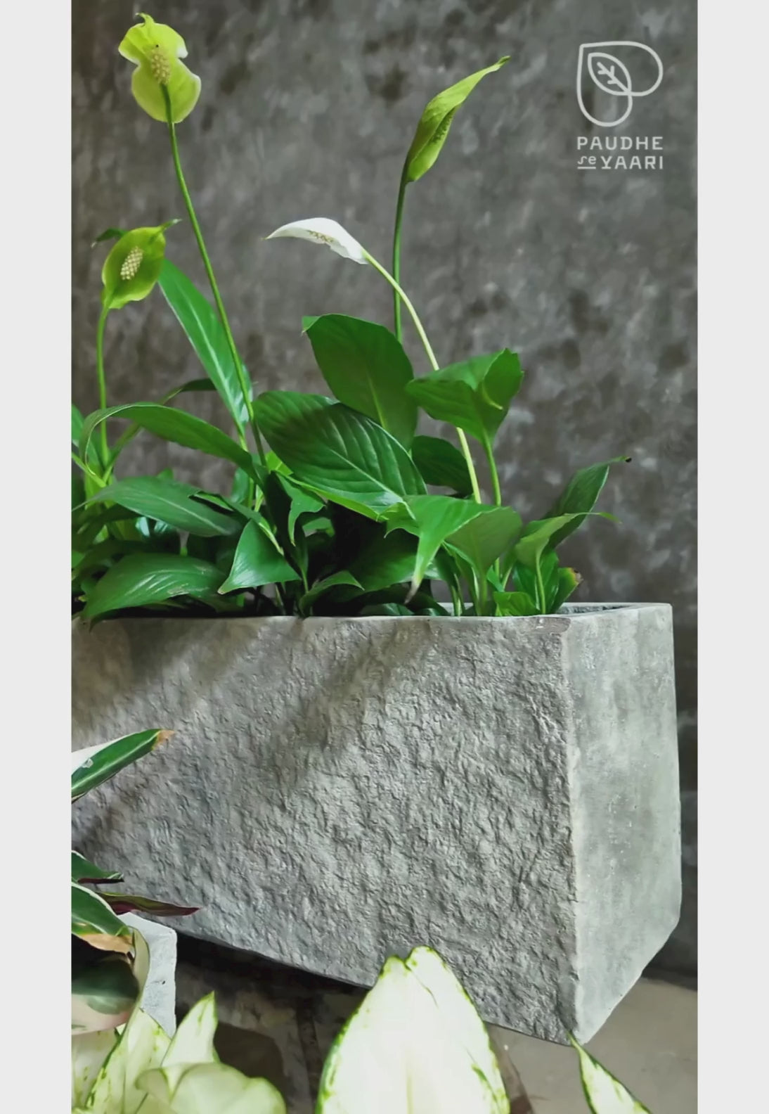 Grey Rectangular Slate Planter