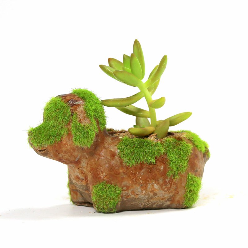 Moss Mini Dog Planter