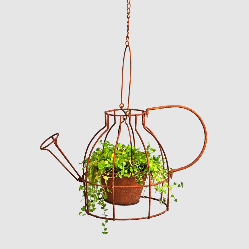 Rustic Watering Can Hanging