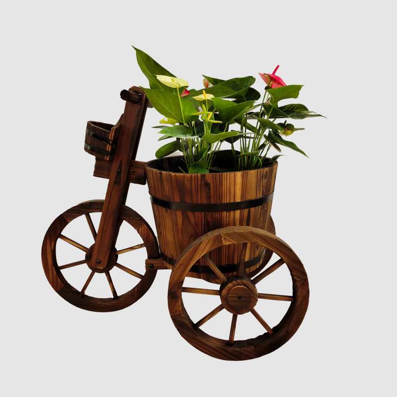 Wooden 3 Wheel Cycle